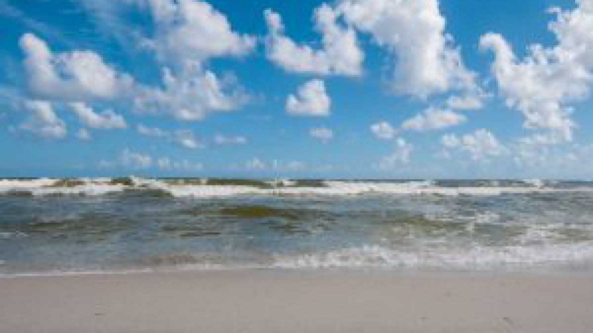 Gulf Shores Alabama Vacation Young S Gulf Coast Vacation Rentals